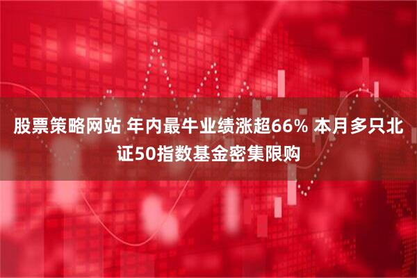 股票策略网站 年内最牛业绩涨超66% 本月多只北证50指数基金密集限购