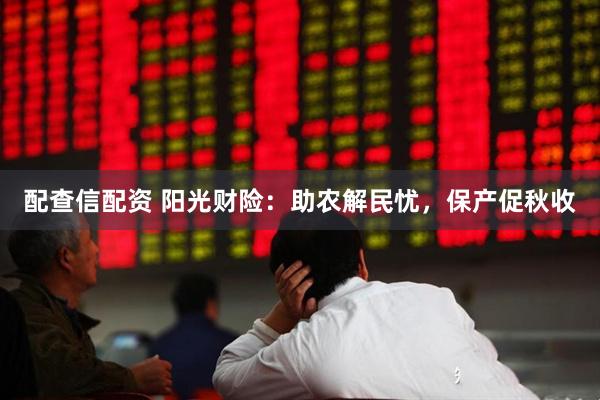 配查信配资 阳光财险：助农解民忧，保产促秋收