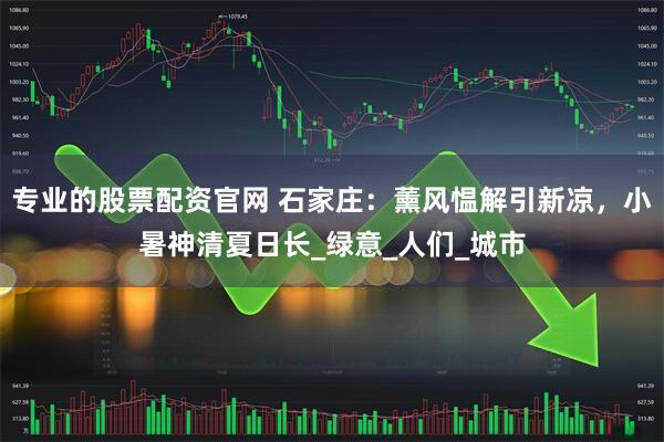 专业的股票配资官网 石家庄：薰风愠解引新凉，小暑神清夏日长_绿意_人们_城市