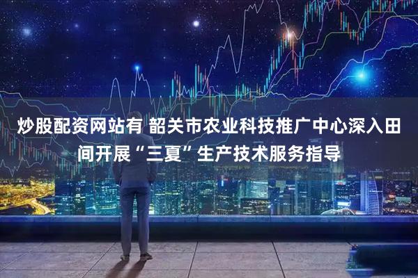 炒股配资网站有 韶关市农业科技推广中心深入田间开展“三夏”生产技术服务指导